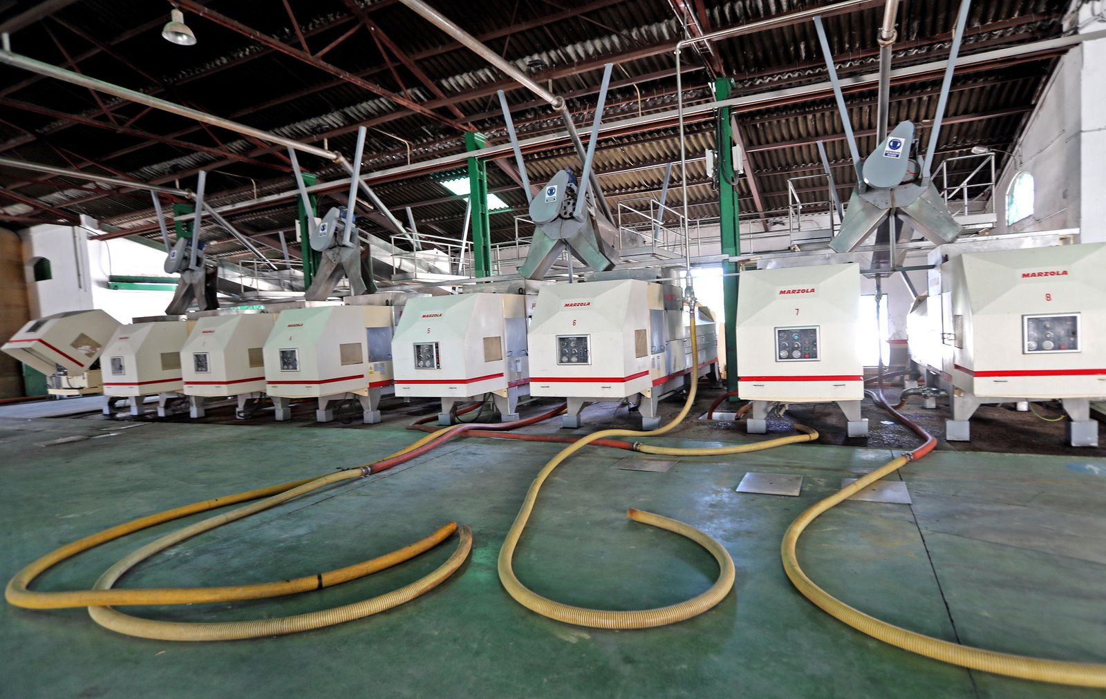 Interior de las instalaciones de la cooperativa, captada ayer, y que a partir de hoy empezarán a recibir la uva.