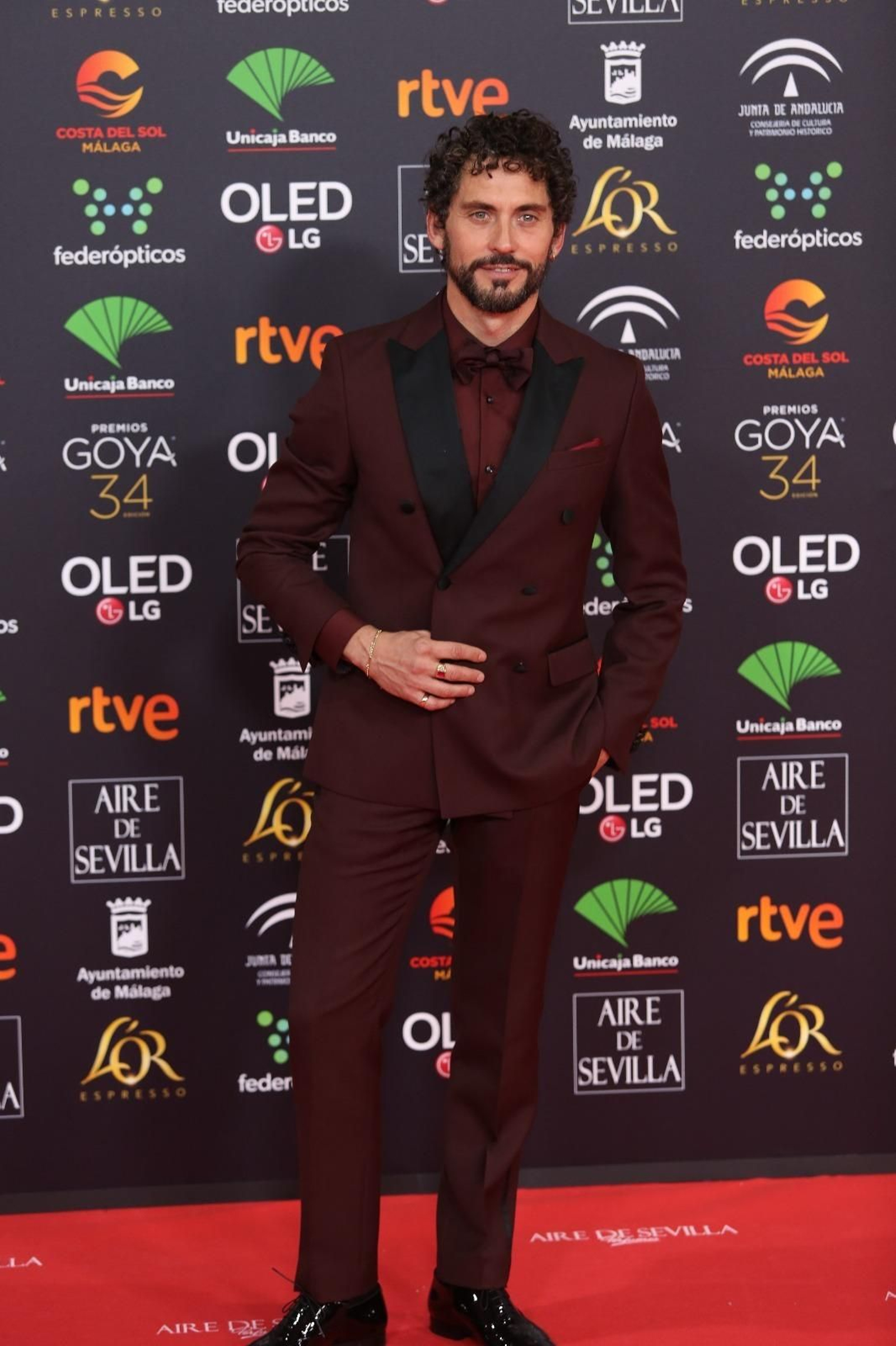 La alfombra roja de los Goya 2020 en Málaga