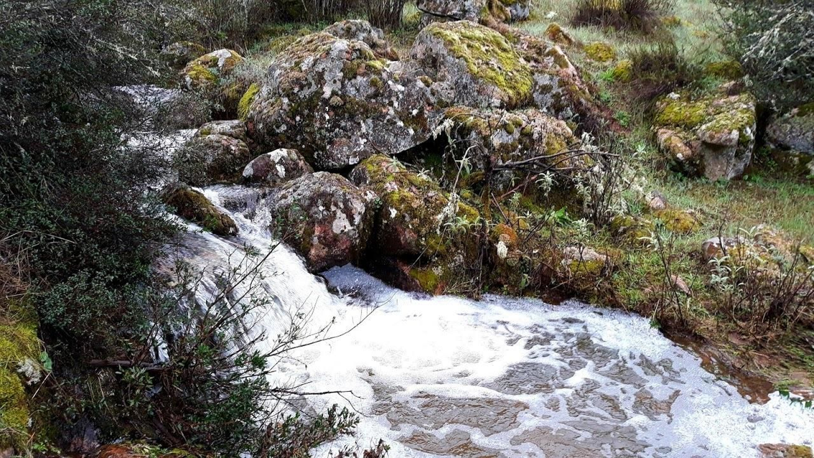 Santa María de Trassierra