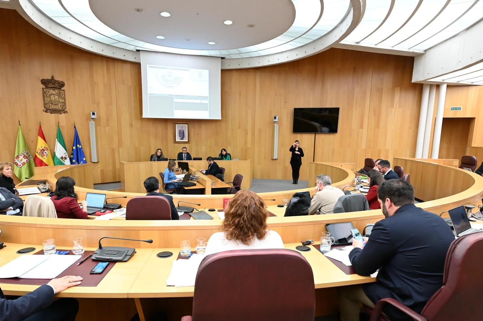 Pleno de la Diputación de Granada