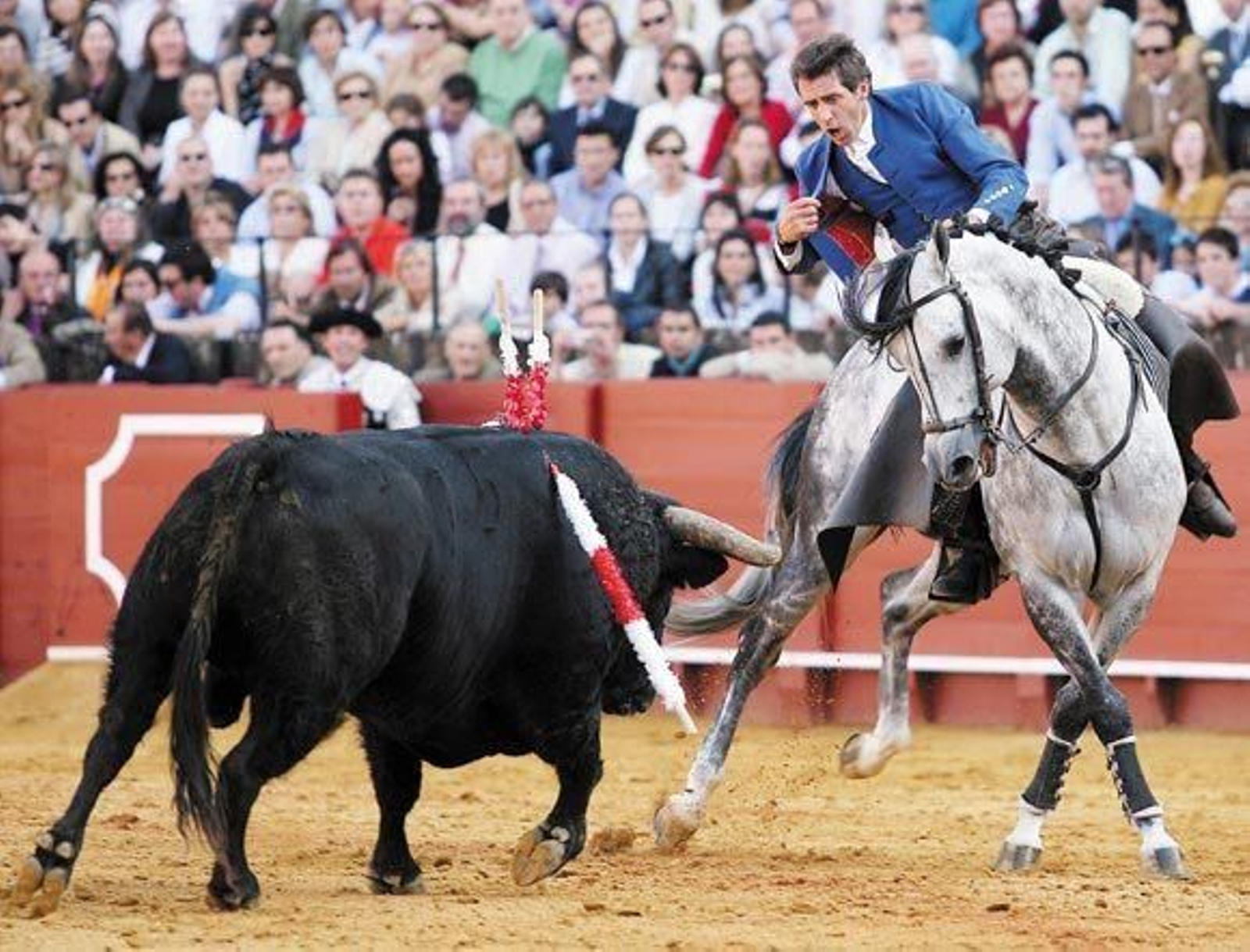 Pablo Hermoso: El gran maestro del rejoneo actual