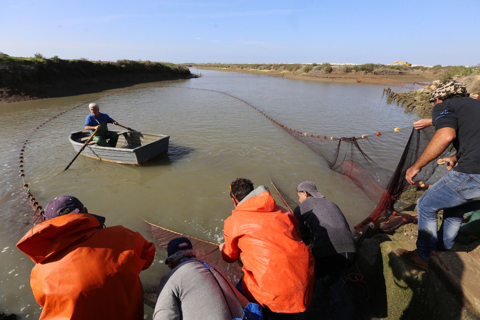 Un momento del despesque.