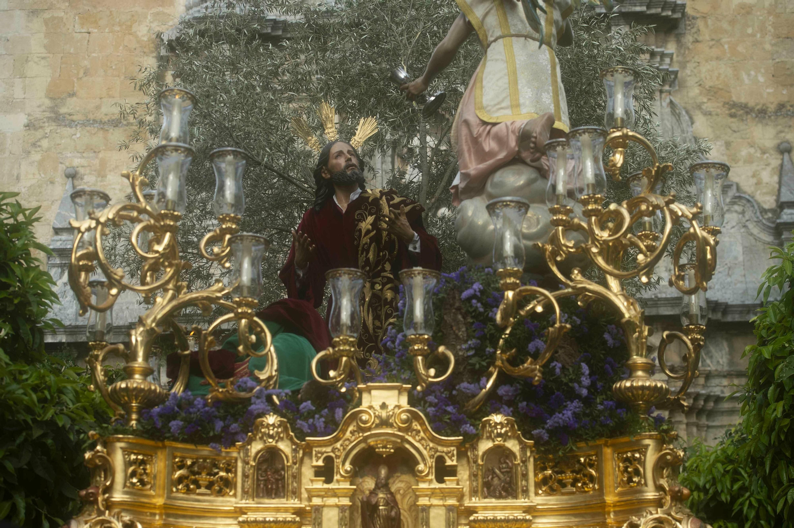 El Domingo de Ramos en Córdoba, en imágenes