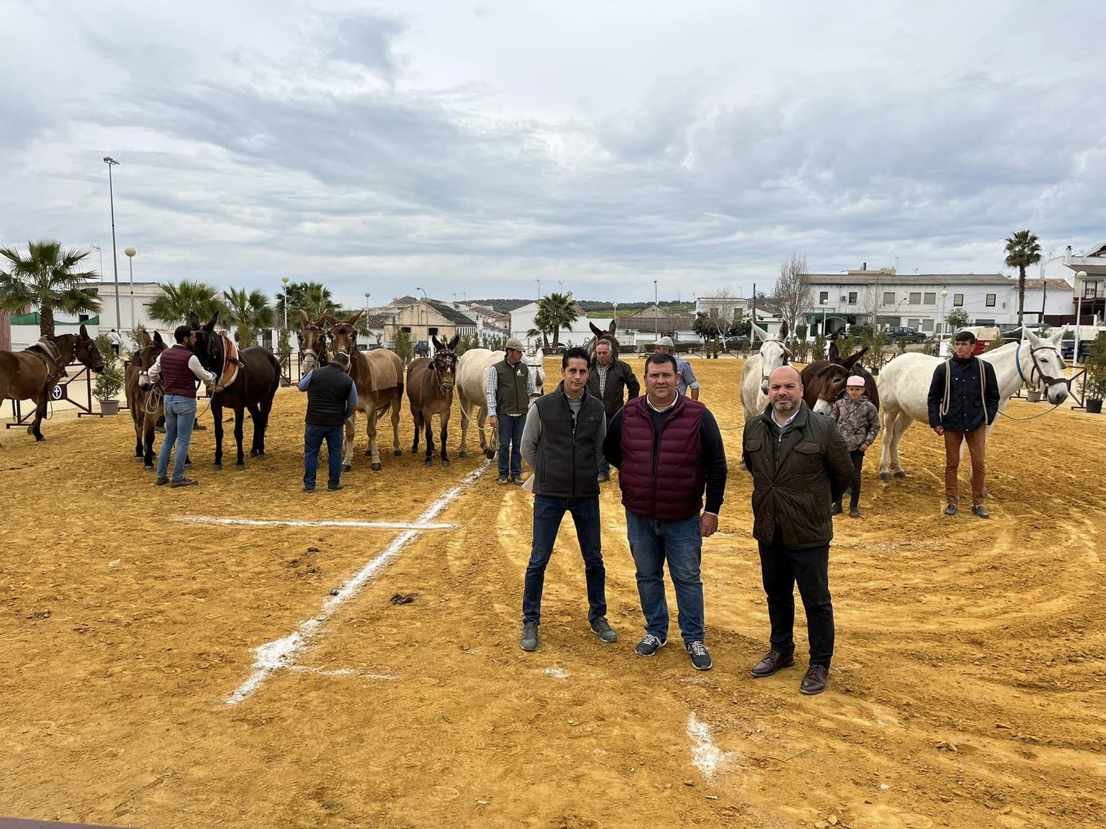 La exhibición ecuestre Caballos de Nuestra Tierra de Bujalance, en imágenes