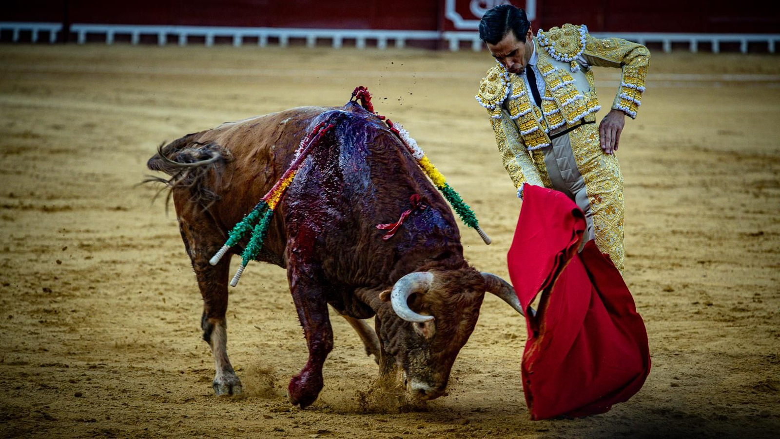Las imágenes de la corrida de toros en El Puerto: Morante, Talavante y Juan Ortega