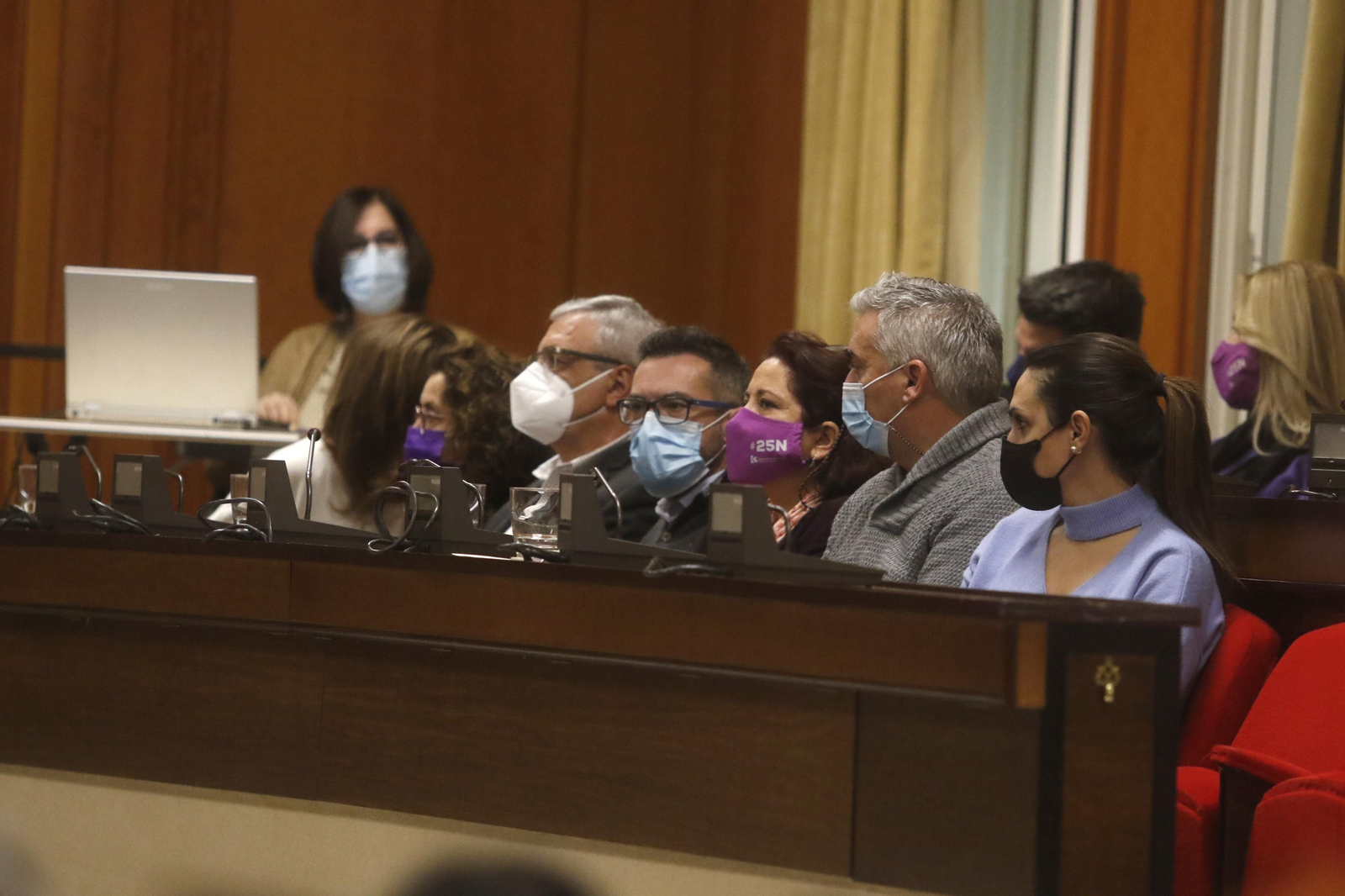 Pleno extraordinario por el Día Internacional de la Eliminación de la Violencia contra la Mujer.