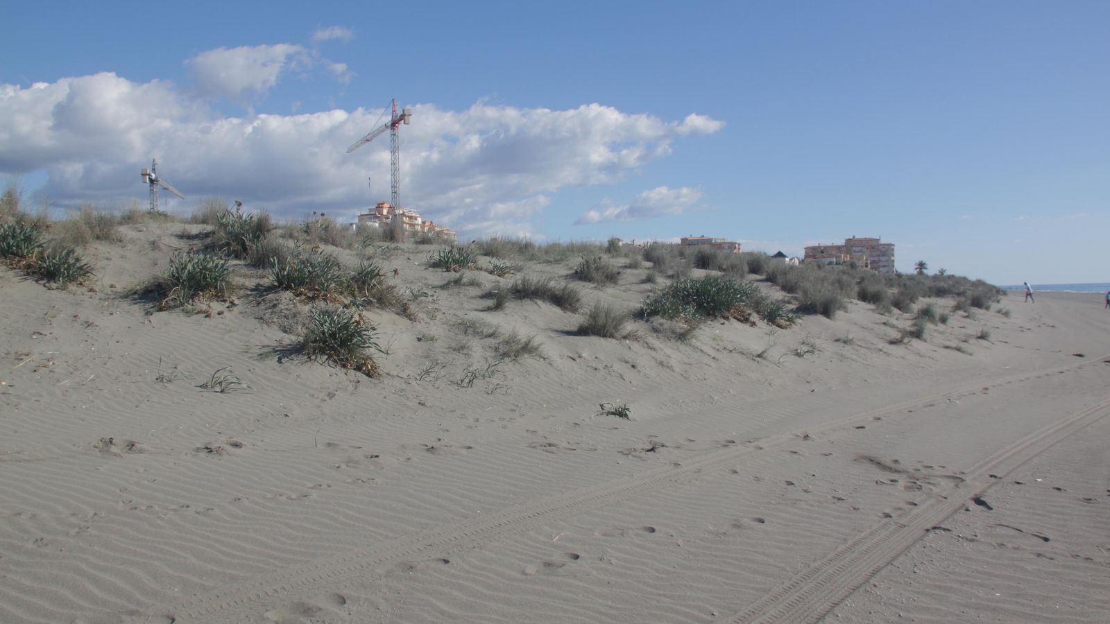 La playa de La Carraca de Torrox cuenta con un cordón de dunas. La playa de La Carraca de Torrox cuenta con un cordón de dunas.