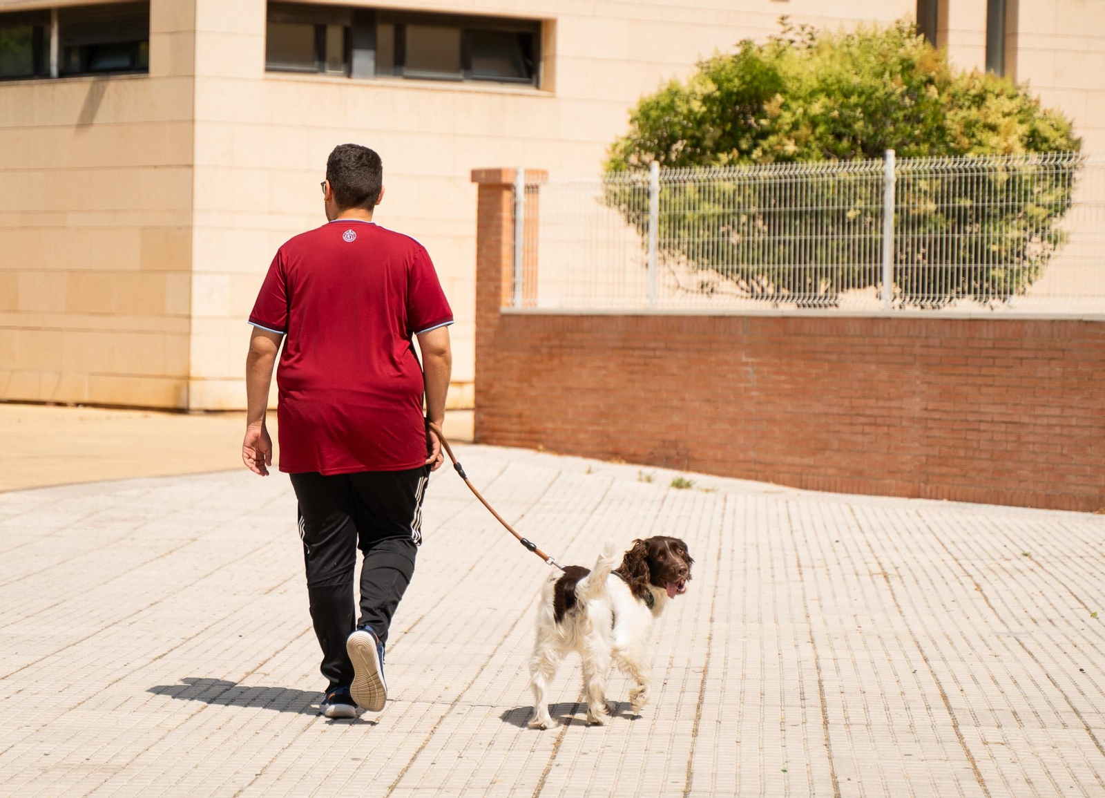 Las imágenes más destacadas del miércoles 11 de junio en Huelva