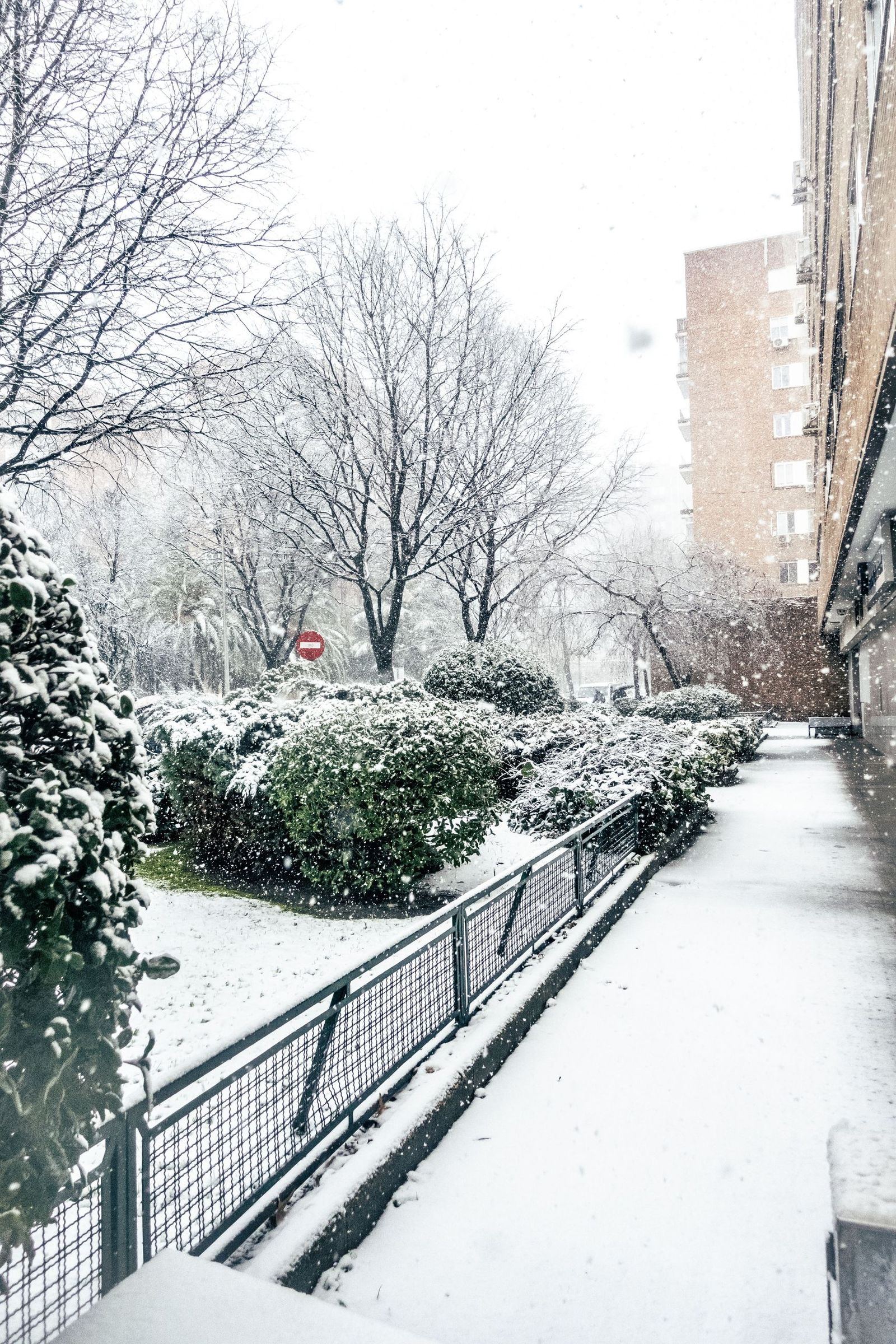 Imágenes de la nevada que ha dejado la borrasca Kristin en Madrid capital