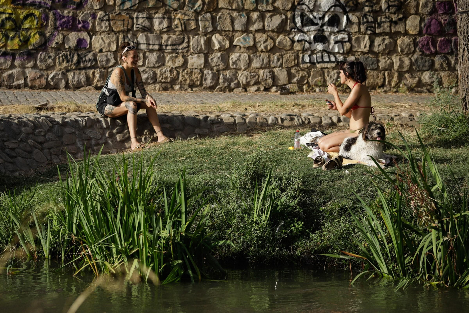 Las mejores imágenes del baño prohibido en Granada: el río Genil como refugio contra el calor