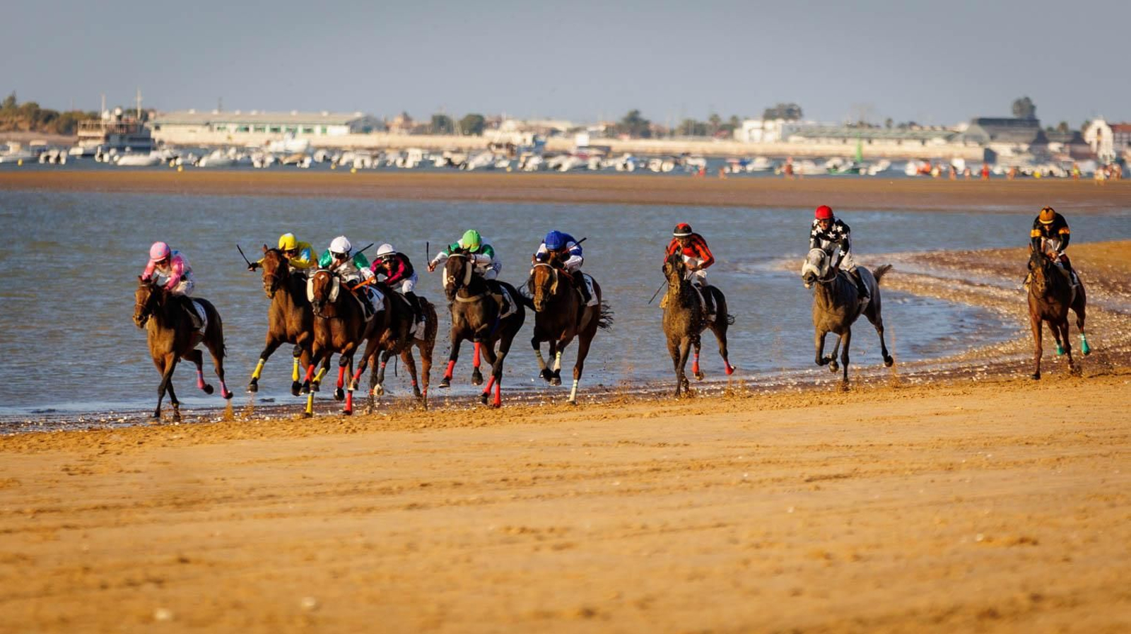 Última jornada de las Carreras de Caballos en Sanlúcar