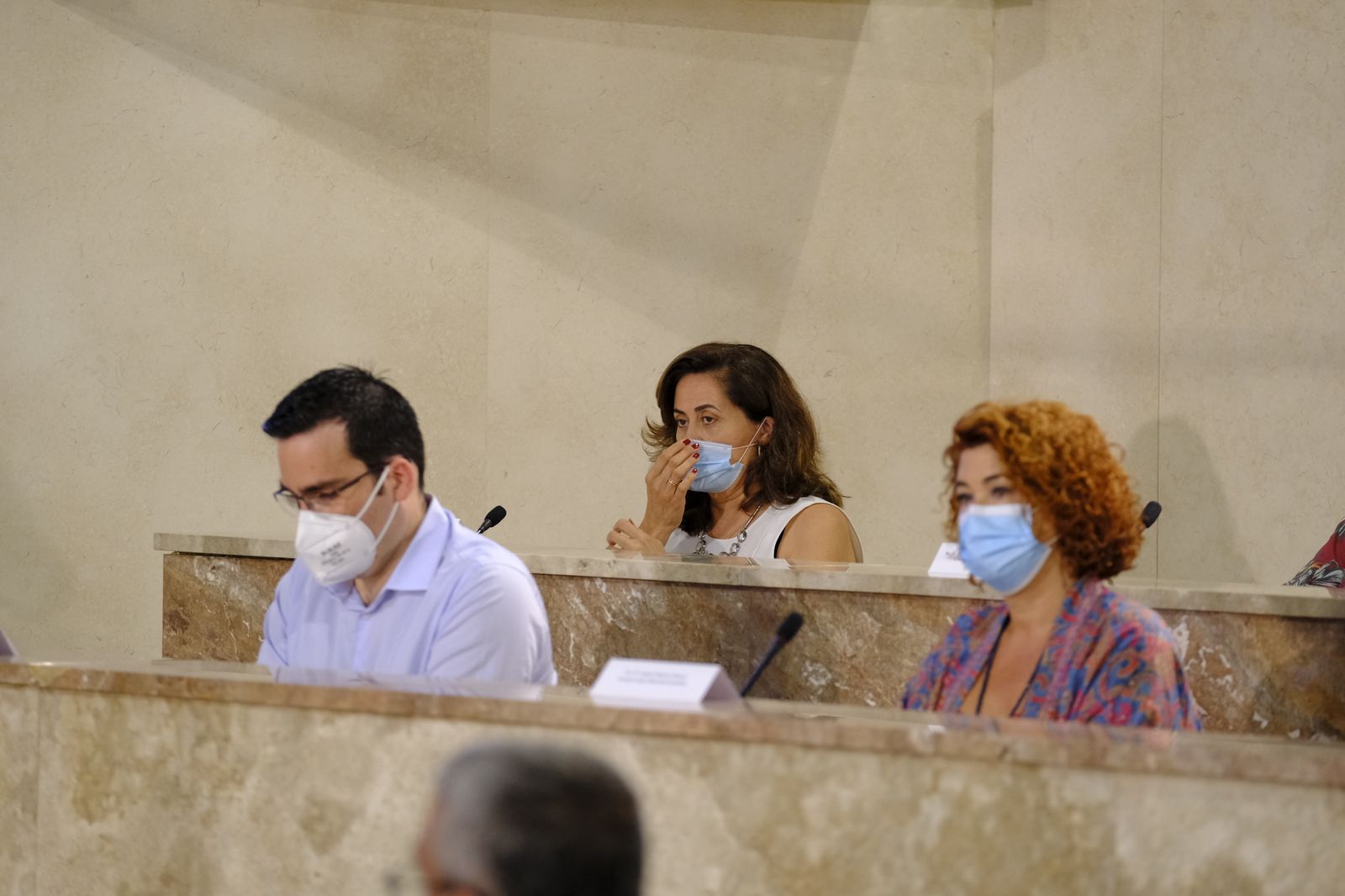 Fotogalería pleno ordinario del Ayuntamiento de Almería