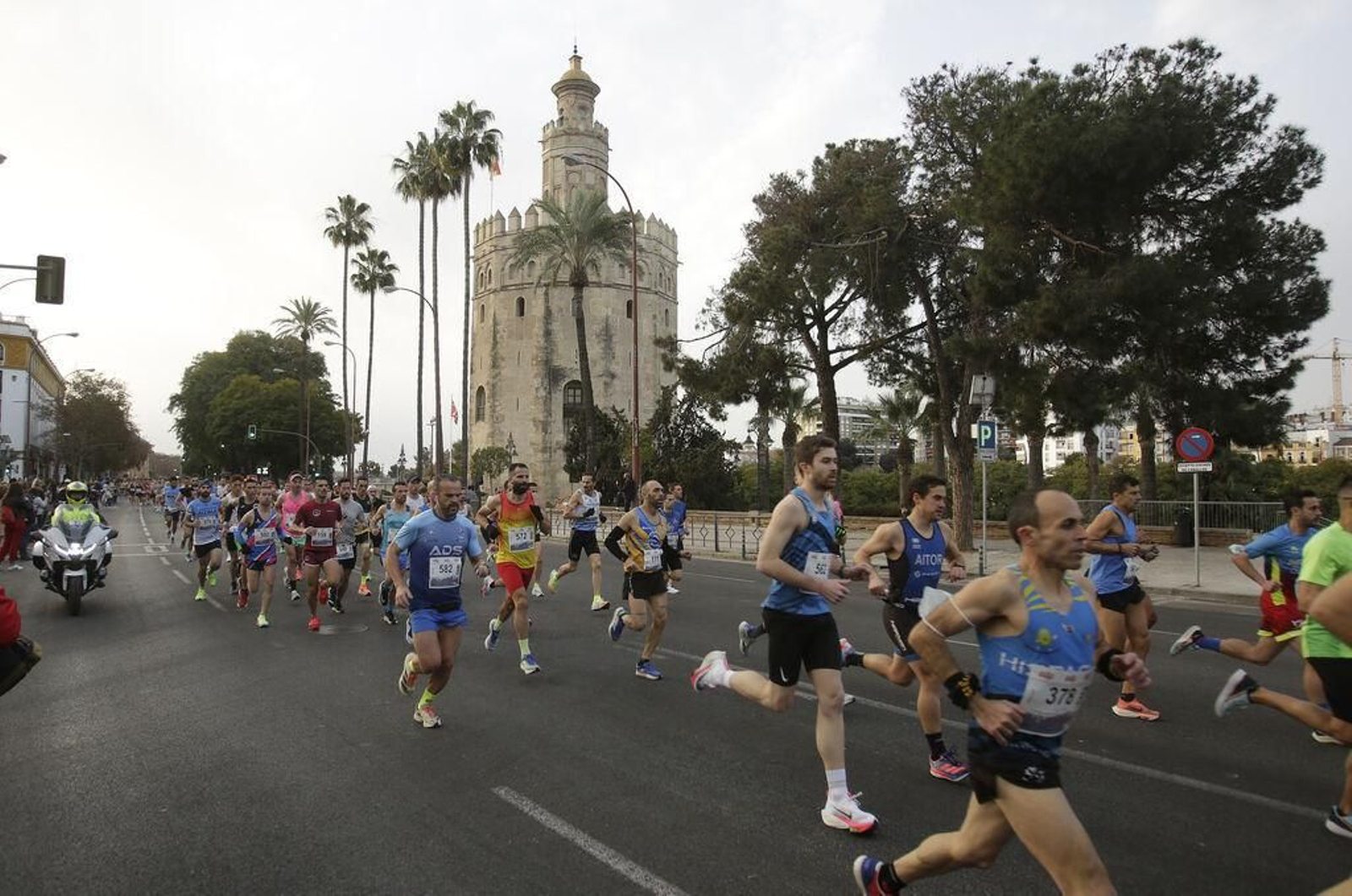 Personas corriendo el Medio Maratón de Sevilla