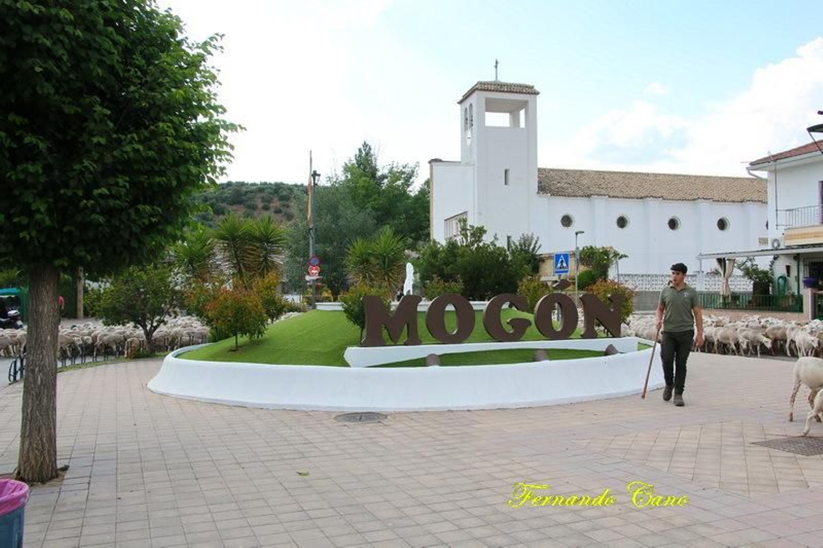 Las reses del ganadero Pablo Espinar hacen la trashumancia a su paso por Mogón.