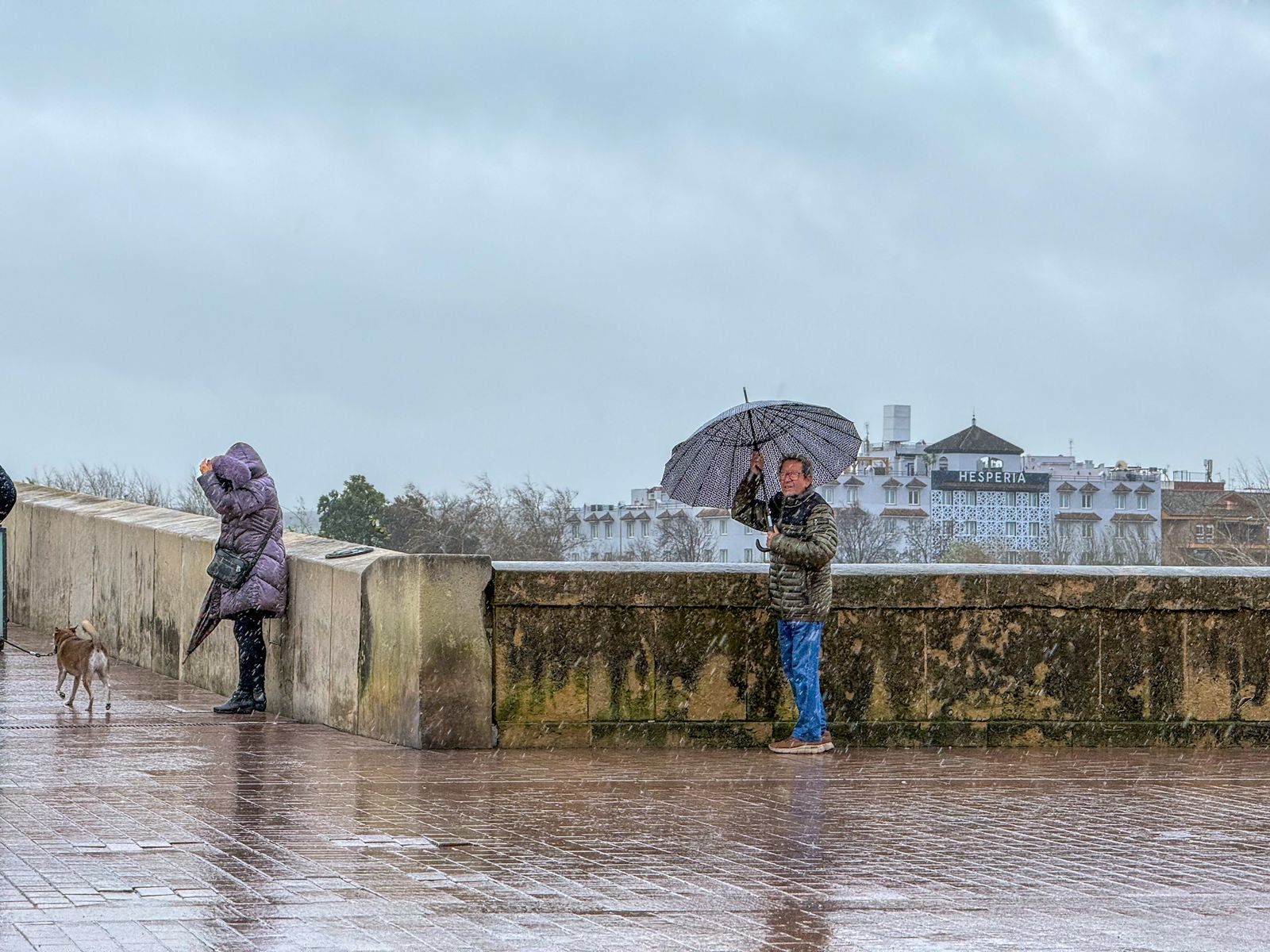 Las fuertes rachas de viento y la lluvia dejan las calles de Córdoba vacías