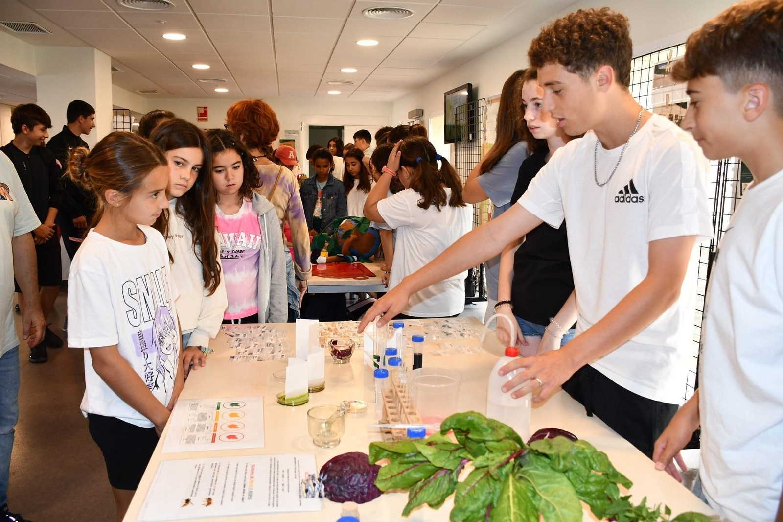 Un encuentro de huertos escolares.