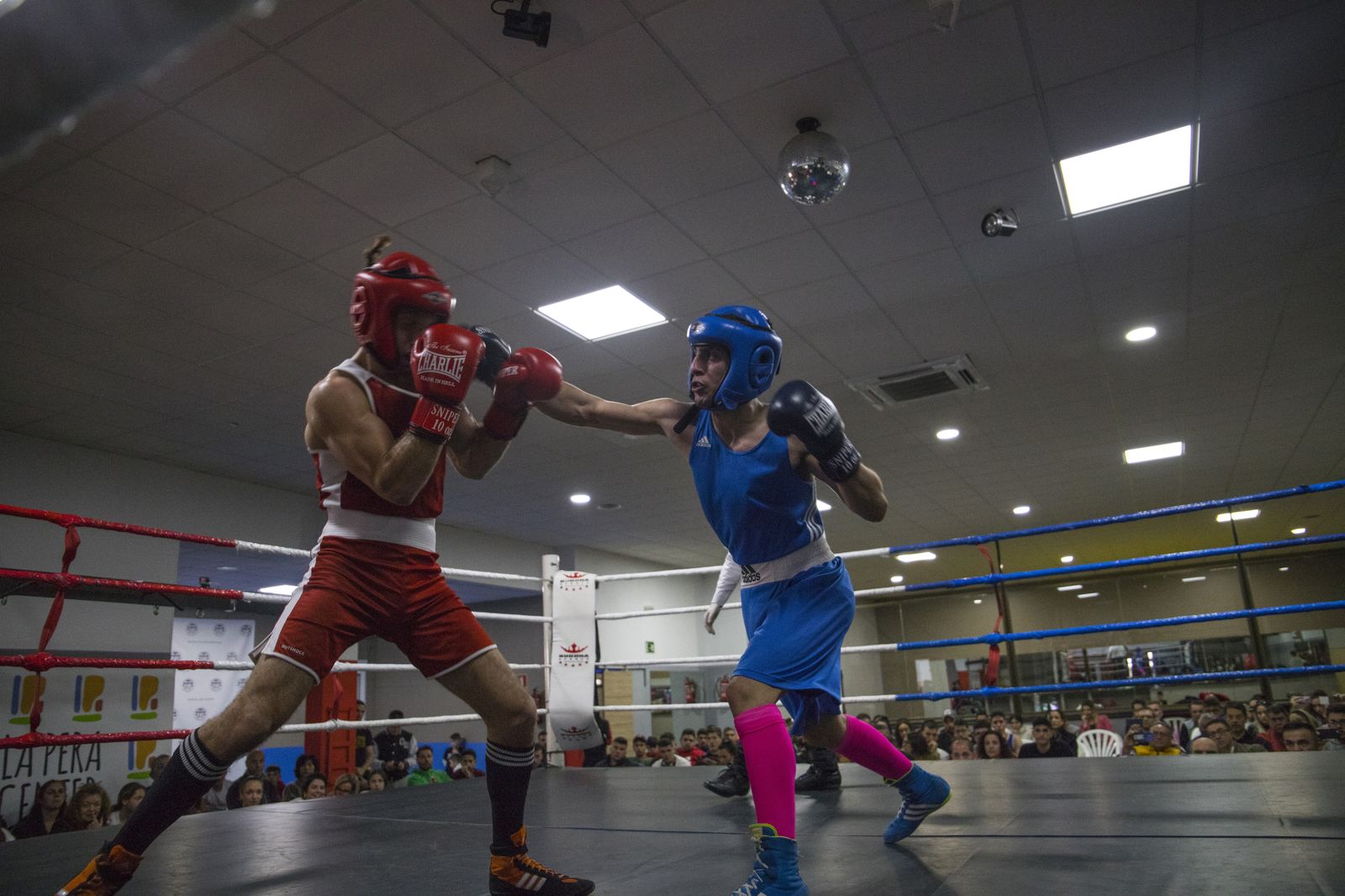 La cantera del boxeo granadino se luce en Armilla