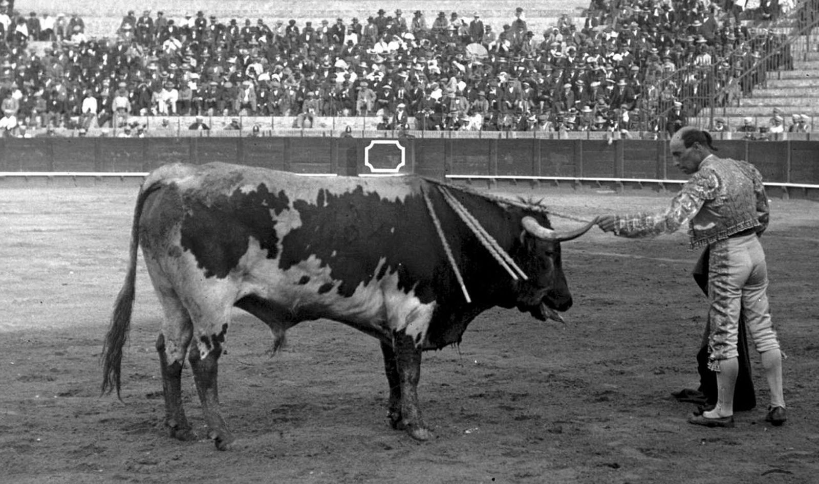 1918 hace 100 años¡¡No se vaya usted, insigne y divino calvo!!