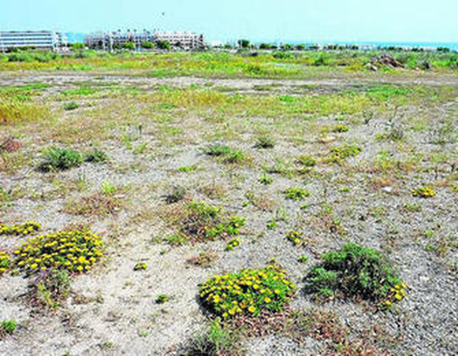 "Ni hay un cartelito" como apuntó el PSOE en los terrenos de El Toyo.