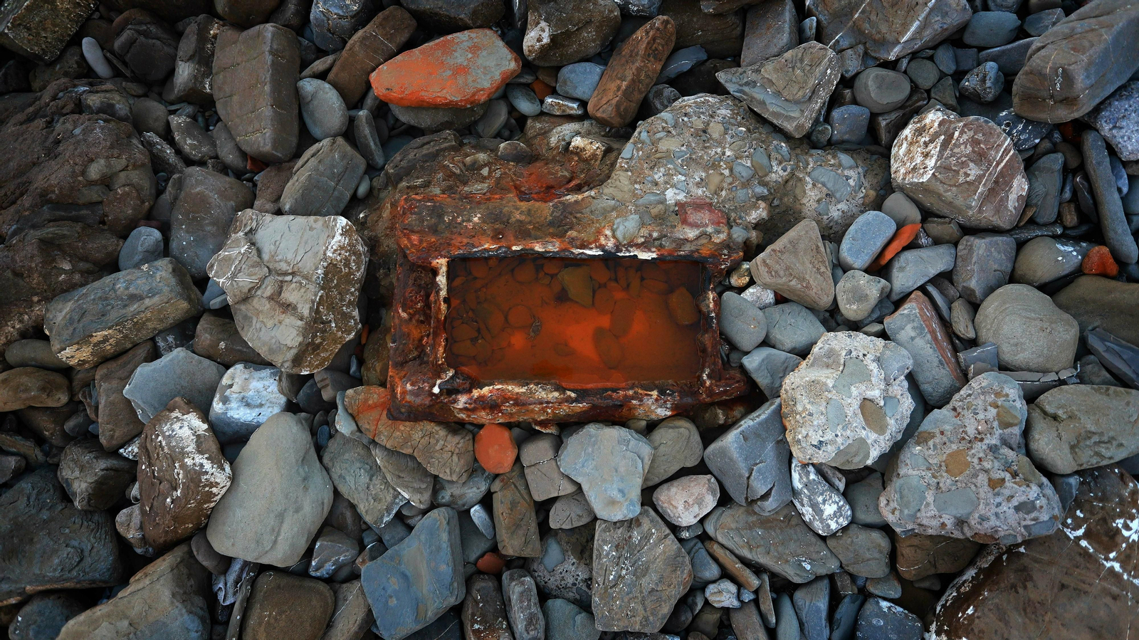 Las mejores fotos de La Ballenera en Algeciras