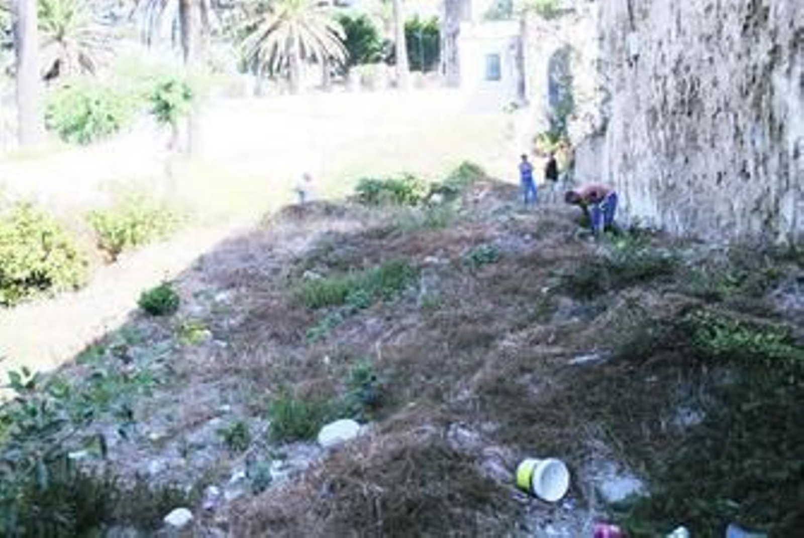 Operarios desbrozan la parcela donde se construirá el Teatro-Cine Alameda, ayer, en Tarifa.