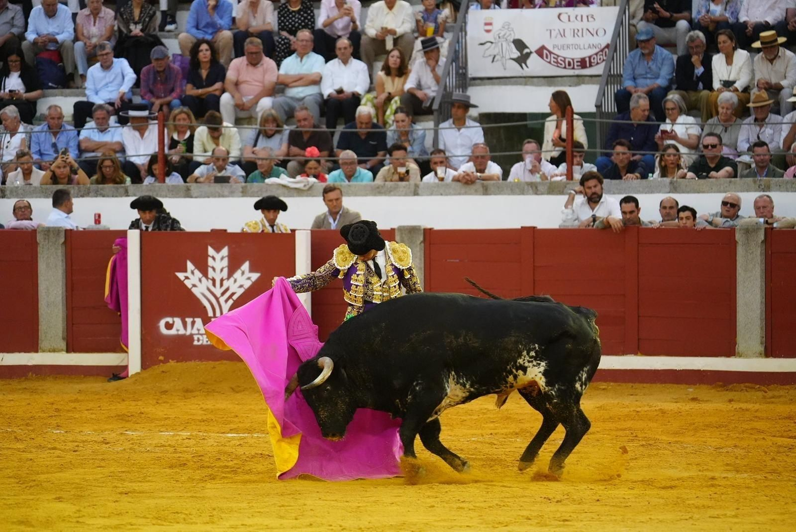 Las mejores imágenes de las corridas de toros de la Feria de Pozoblanco