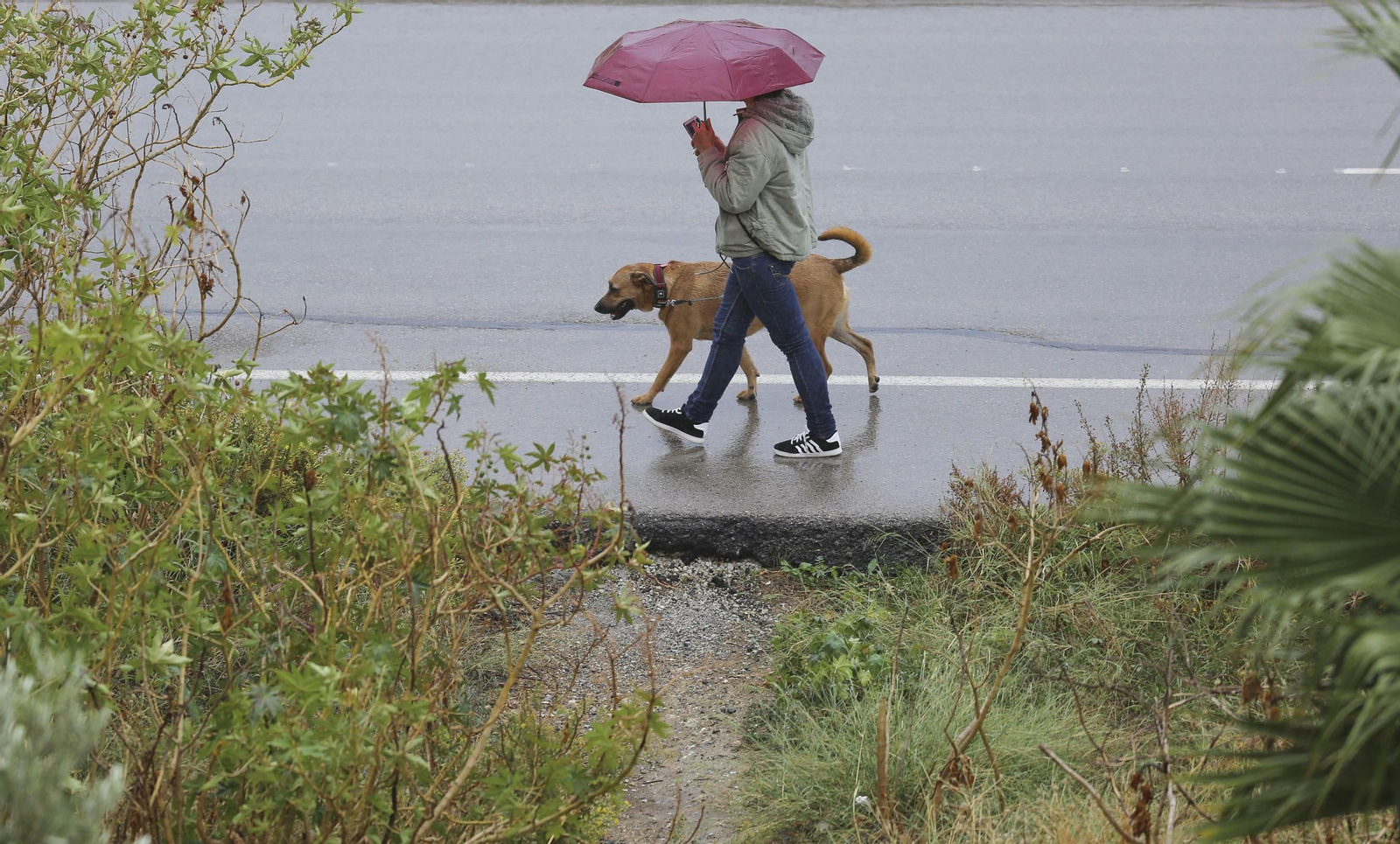 Un hombre pasea con un paraguas este jueves en Málaga.