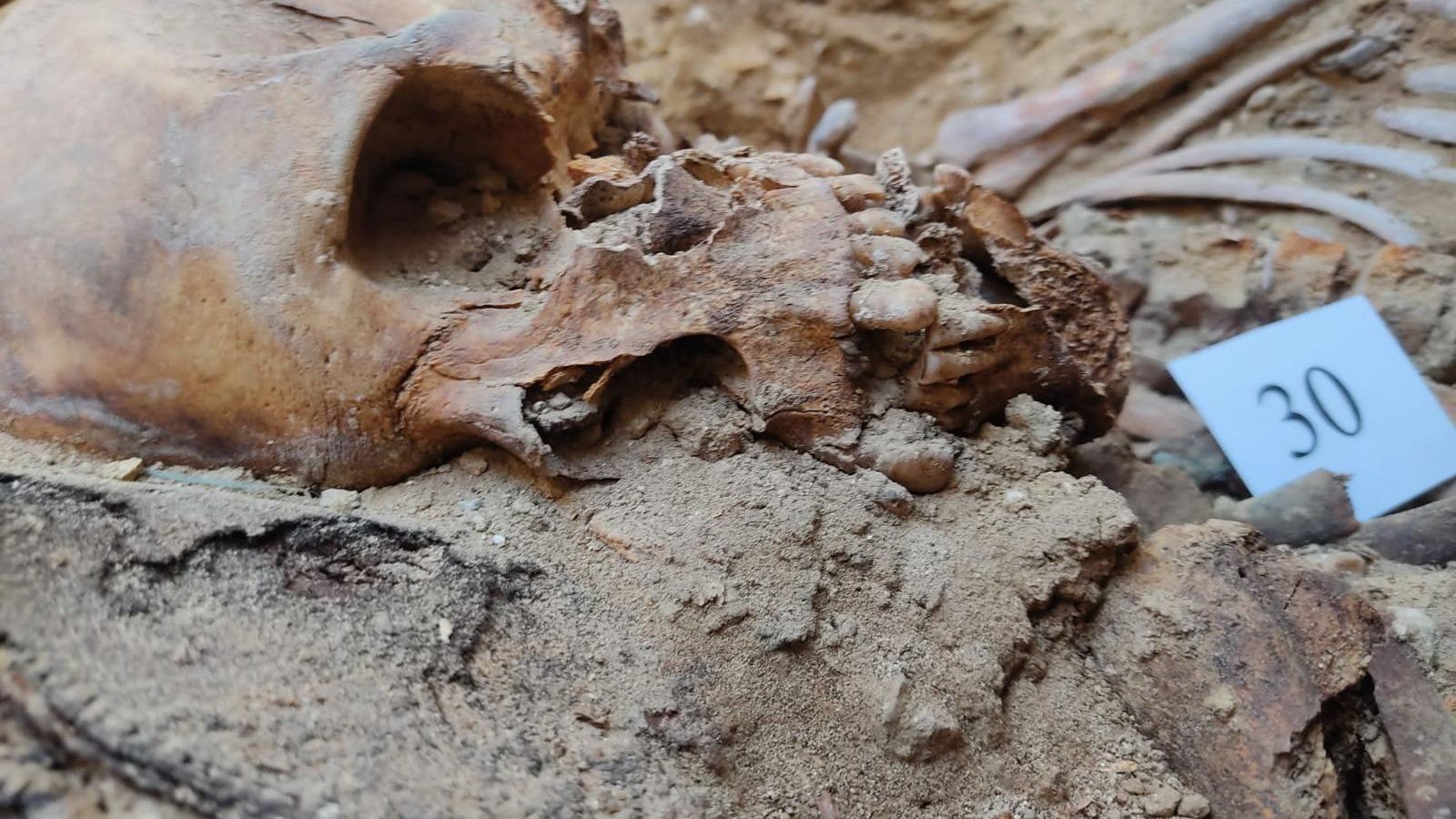 Restos óseos de una víctima de la represión franquista en una de las fosas comunes de San Fernando. Restos óseos de una víctima de la represión franquista en una de las fosas comunes de San Fernando.