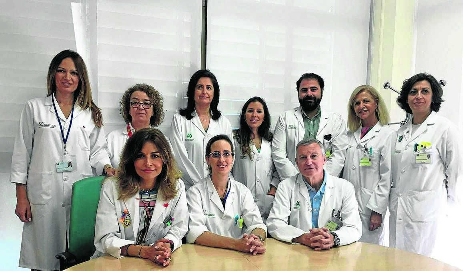 Mar Casado, Pepa Muñiz, Isabel Serrano, Beatriz González, Ignacio Jiménez, Mercedes Martínez, Isabel Fontán; y sentados, Concepción Romero, María Asunción Martínez y José Luis Barroso, especialistas implicados en la nueva unidad de atención a la embarazada con diabetes en el Macarena.