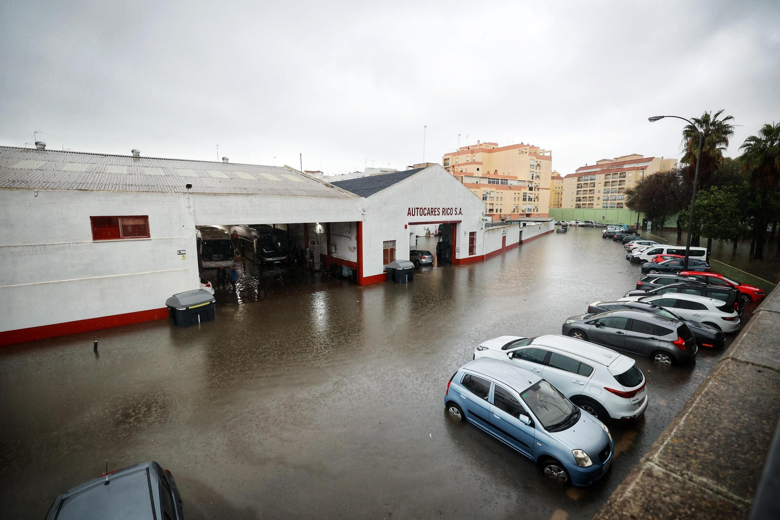 Imágenes de calles inundadas y vecinos achicando agua en San Fernando