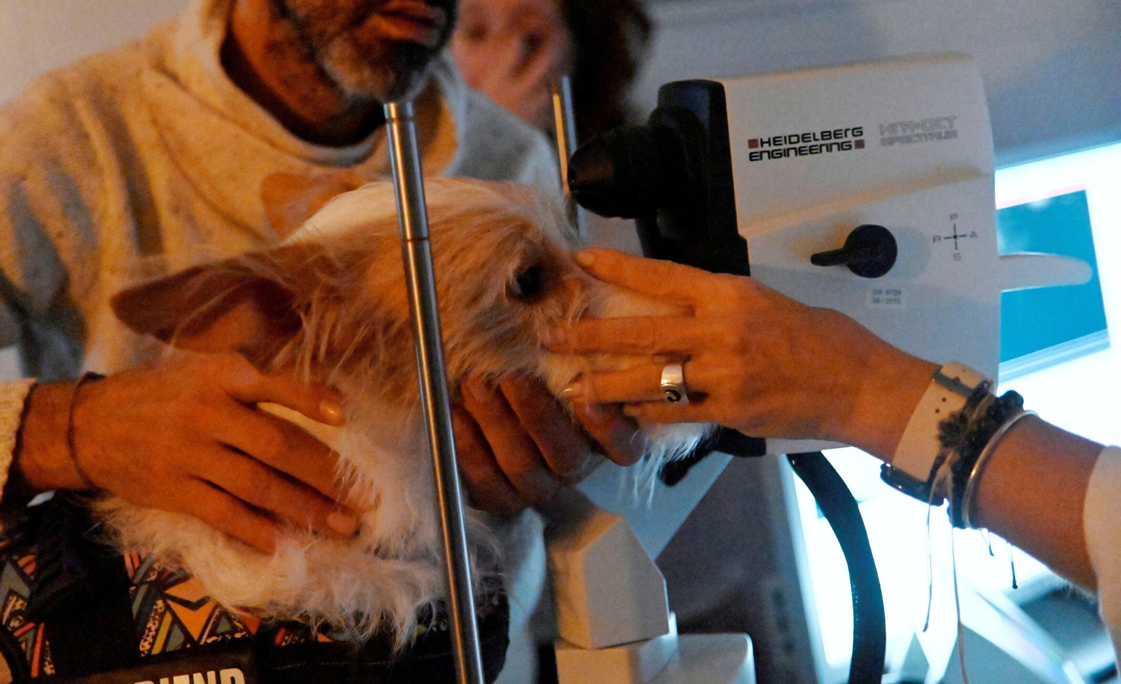 El Hospital Veterinario de la Universidad de Córdoba, en imágenes