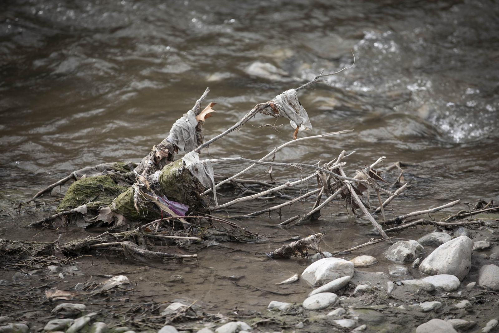 Fotos del 'cementerio' de toallitas que se acumula junto al río Genil en Granada