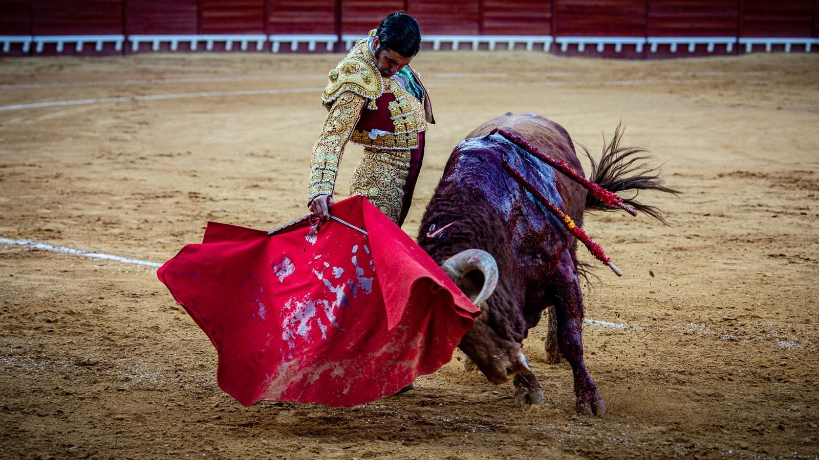Las imágenes de la corrida de toros en El Puerto: Morante, Talavante y Juan Ortega