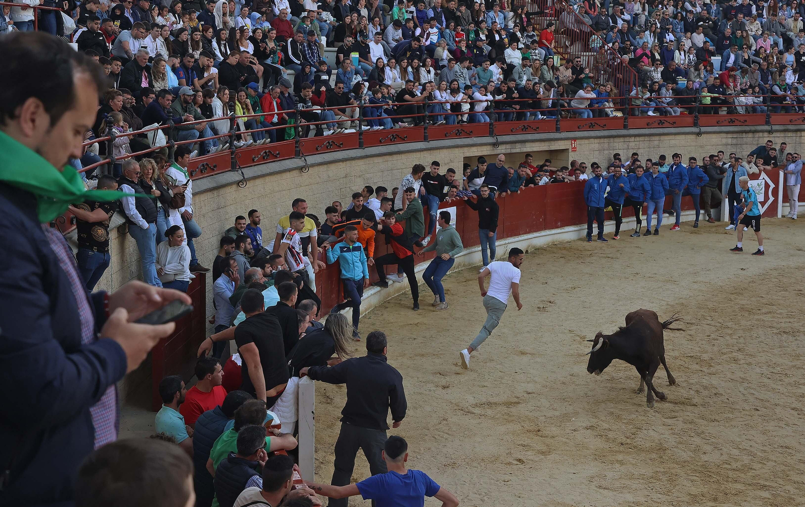 Las mejores fotos del Toro Embolao de Los Barrios 2024