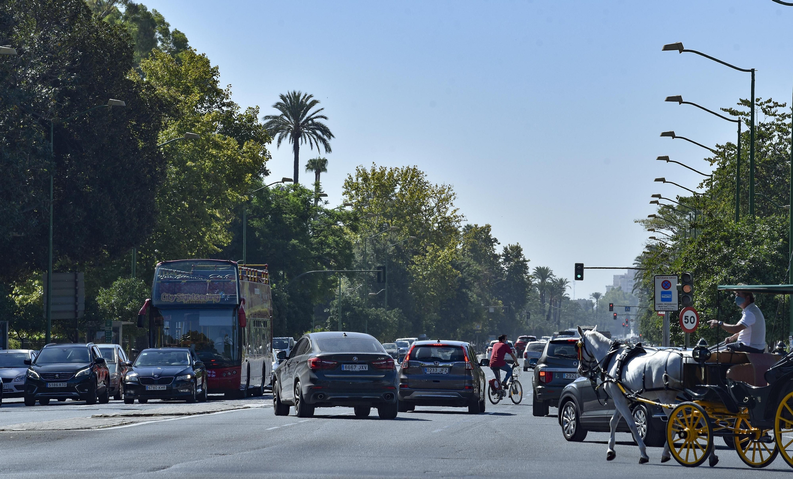 La Avenida de la Palmera