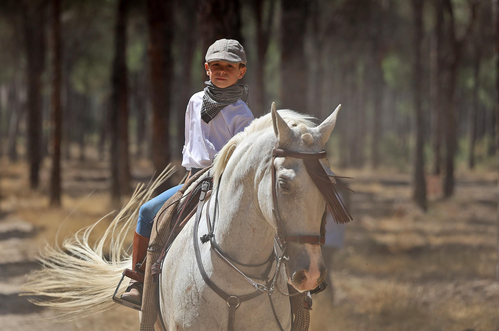 Las mejores imágenes de la Saca de las Yeguas 2025