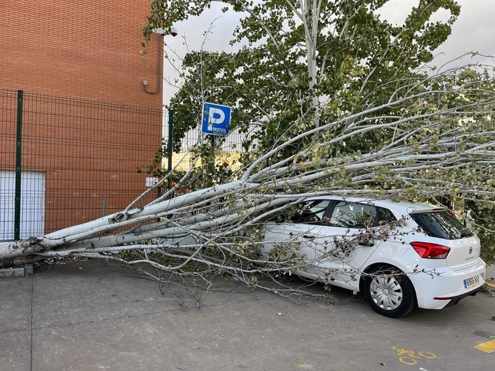 Fotos: así está siendo el fuerte viento de la borrasca Bernard en Granada