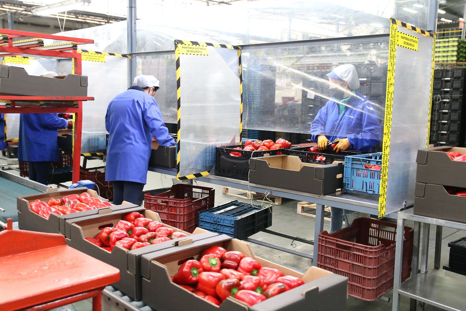 Fotogalería Juanma Moreno visita la cooperativa Murgiverde