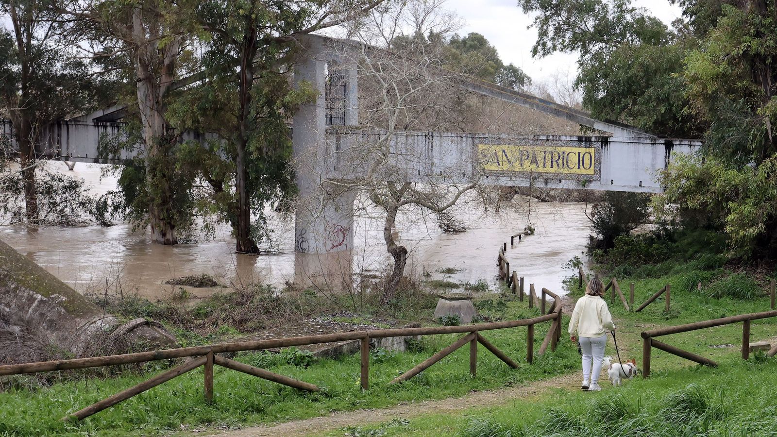 El Guadalete comienza a bajar su nivel poco a poco por la zona rural de Jerez