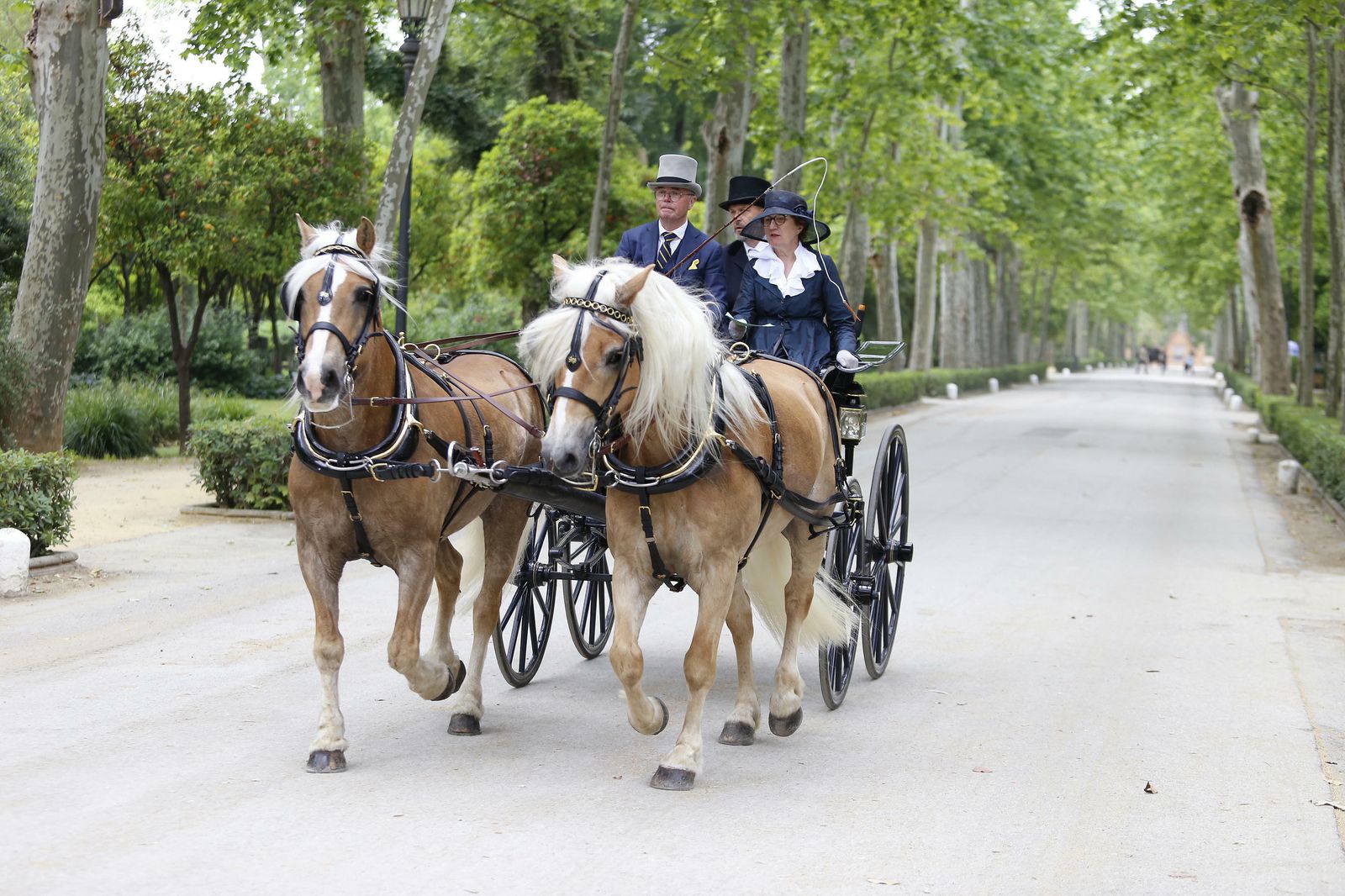 El concurso de enganches, en imágenes