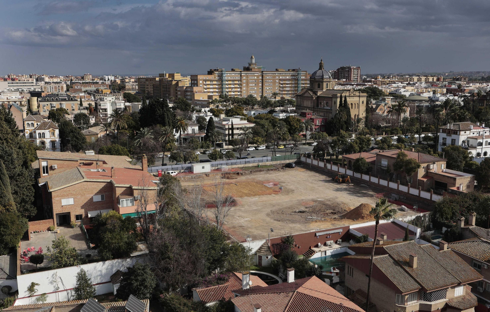 Una vista del solar de la Palmera 38 donde se han talado decenas de árboles.