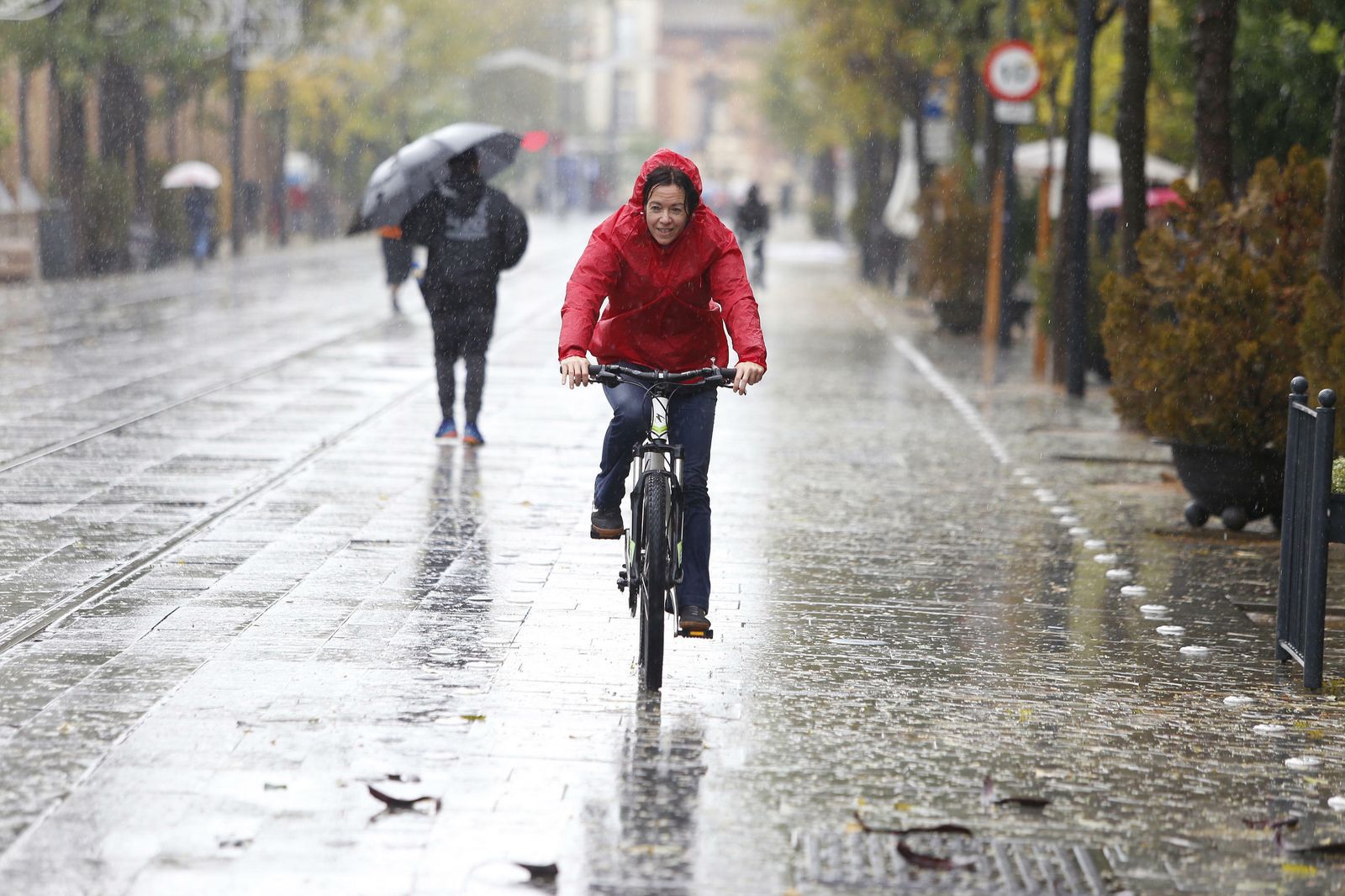 Las imágenes del temporal en Sevilla