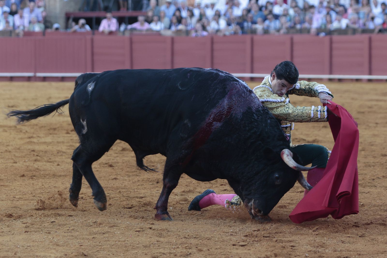 Las imágenes de la primera corrida de la Feria de San Miguel