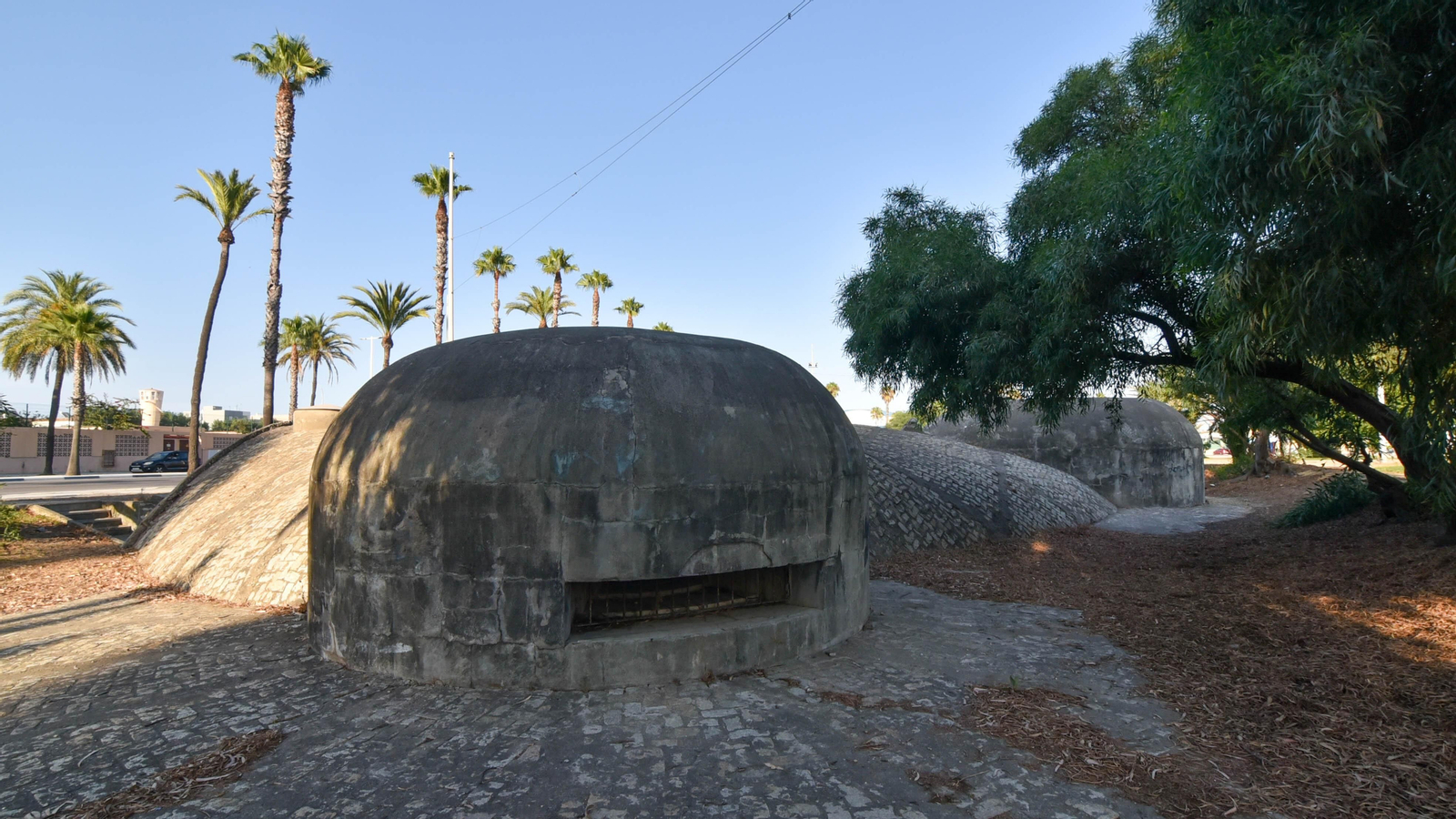 Un día en el Parque Princesa Sofía en La Línea