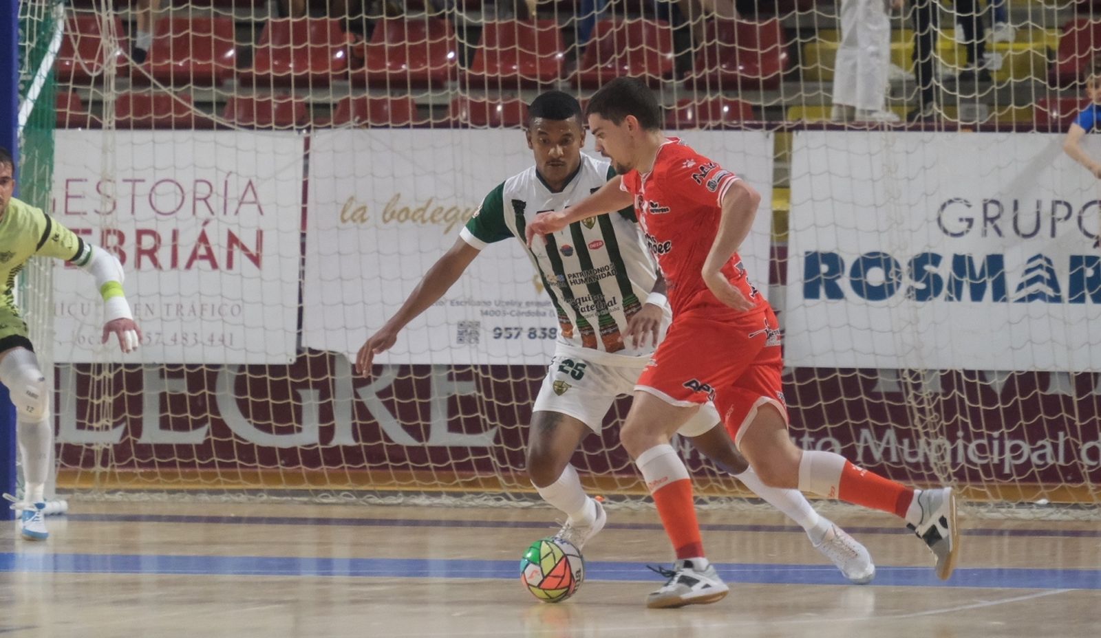 Las mejores fotos del Córdoba Futsal - Jimbee Cartagena en Vista Alegre