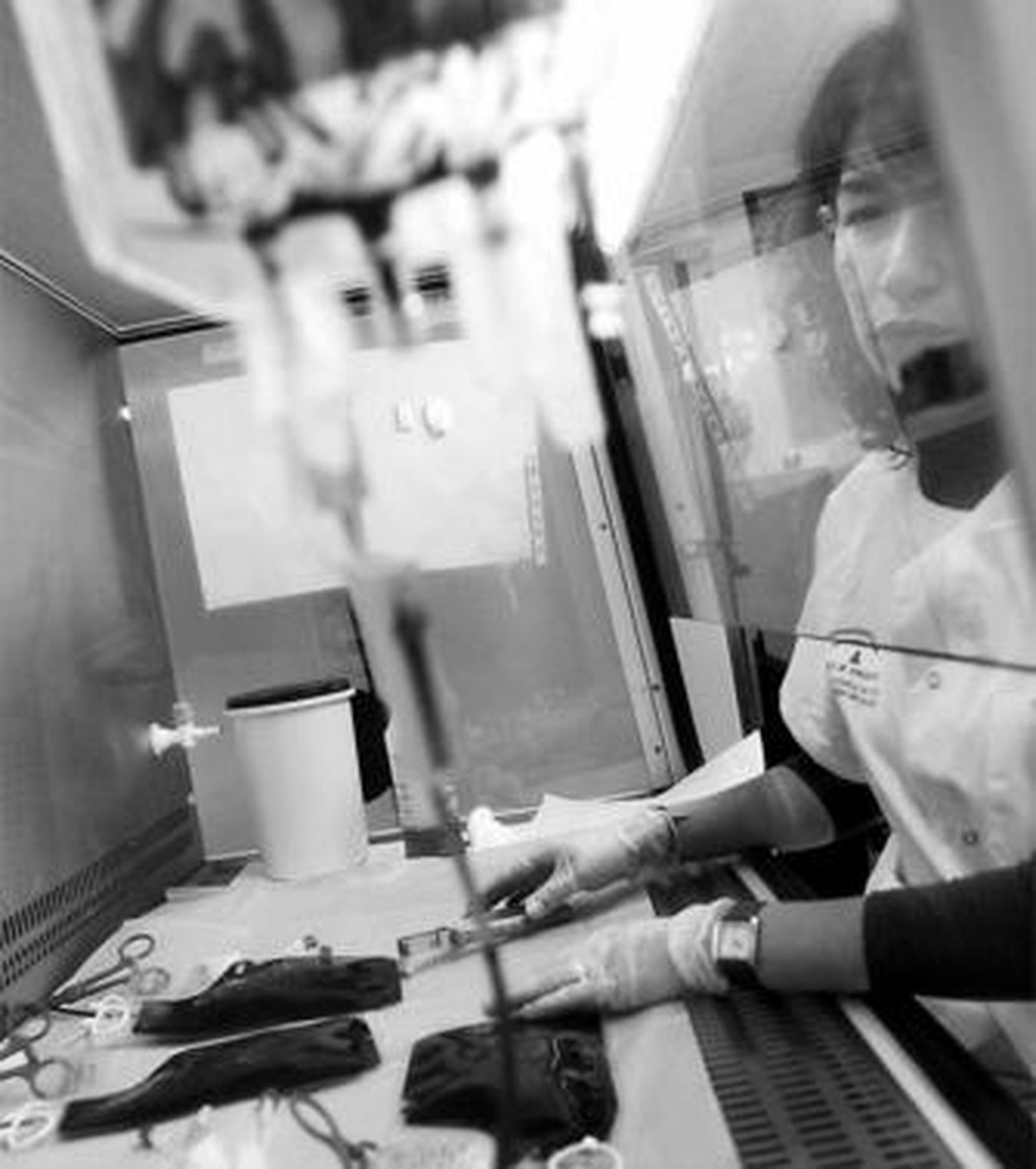 Una trabajadora del Banco de Sangre de Cordón Umbilical de Andalucía procesa una donación.