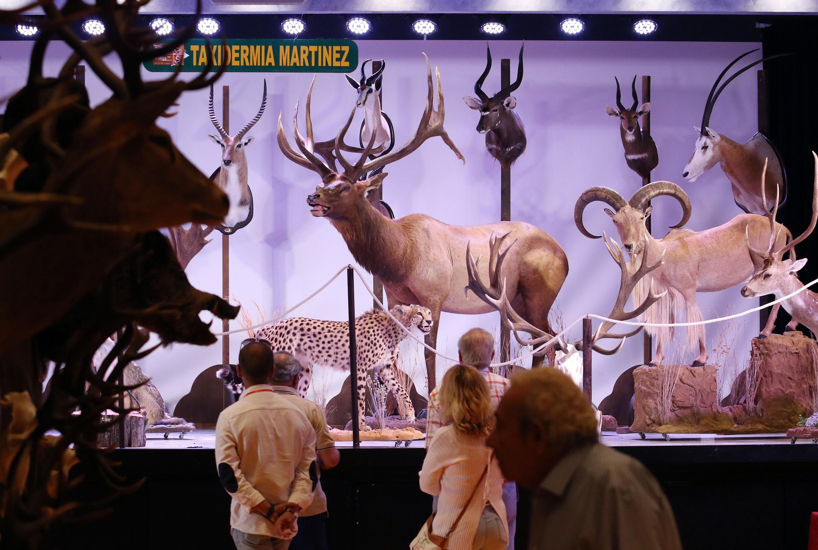 Inauguración de Intercaza 2017