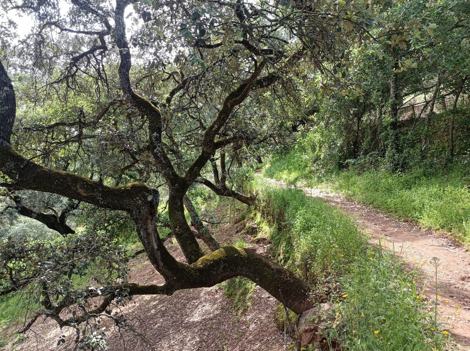 Las fotos de la ruta circular entre Aracena y Corteconcepción