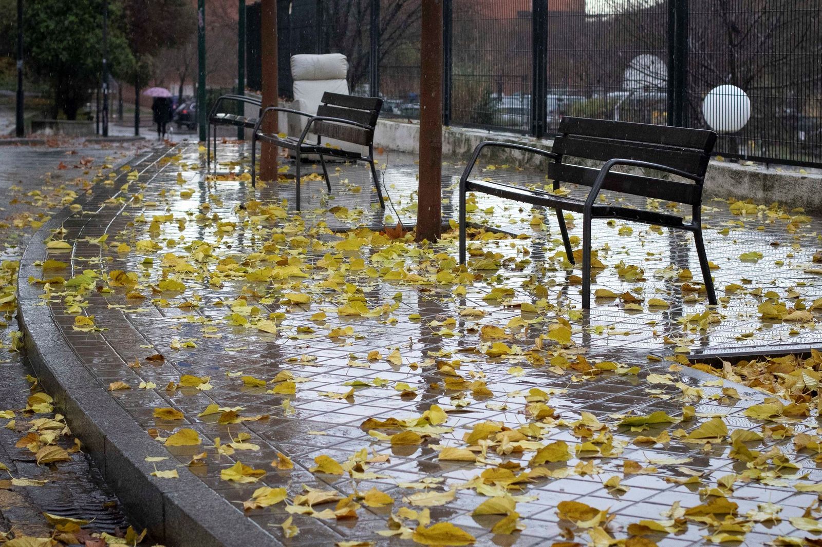 Granada bajo el temporal: imágenes de la ciudad durante la alerta naranja
