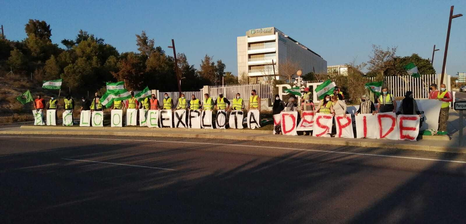 Concentración de los trabajadores de Bio Looije a las puertas del PITA, organizada por SAT Almería